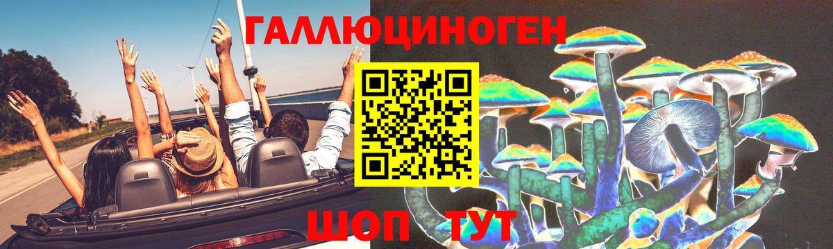 Абакан  Псилоцибиновые грибы прущие грибы  наркотики  Вход с VPN 